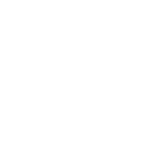 sv339