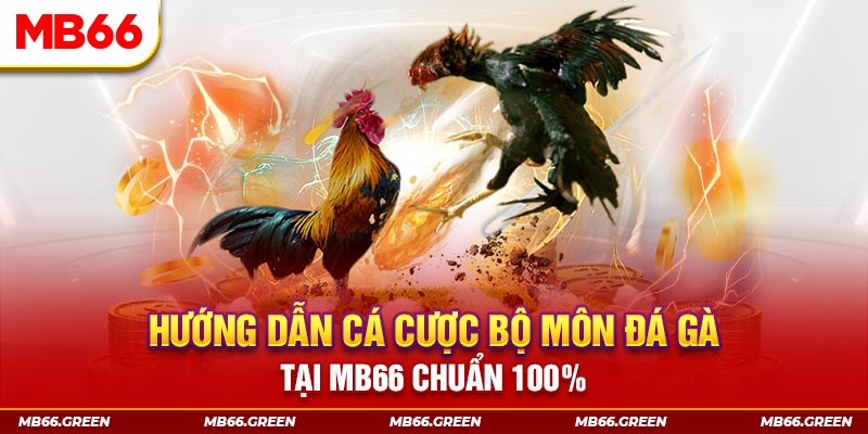 sv339 xổ số bình định