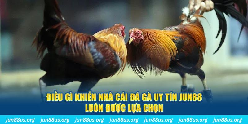 sv339 qq88 nổ hũ bắn cá