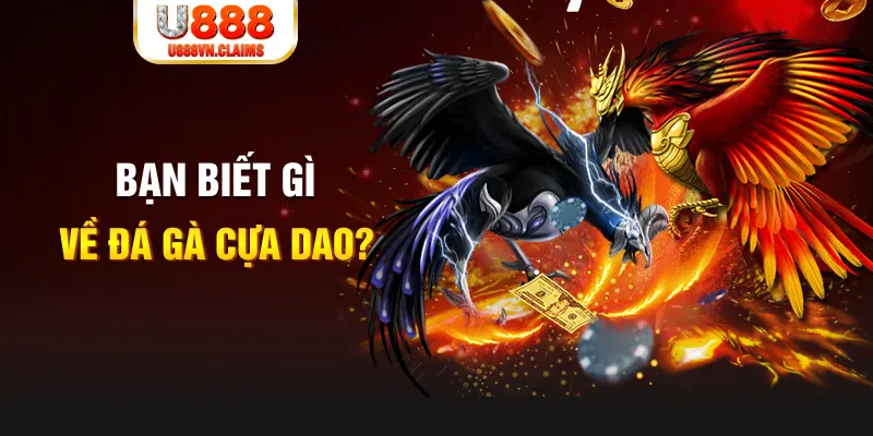 xổ số kiến thiết