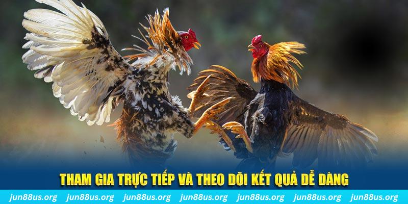 sv339 đá gà trực tiếp bình luận viên