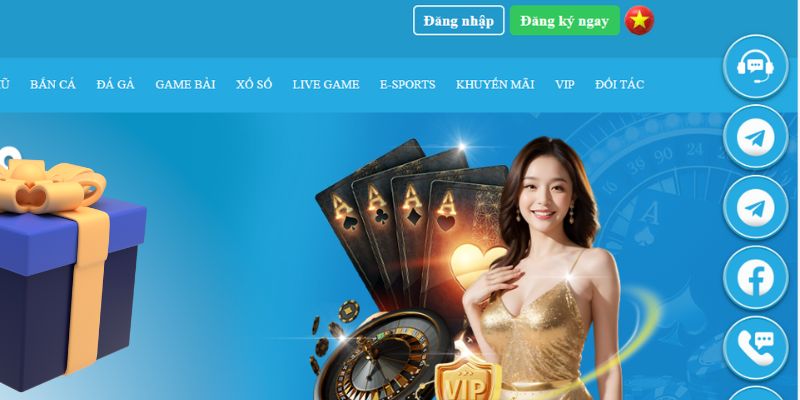 sv339 slot là gì dịch