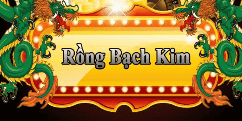 sv339 đăng nhập roulette 2025