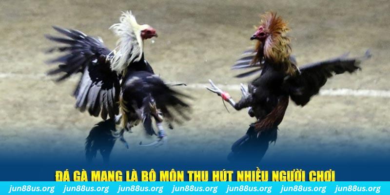 sv339 xổ số cà mau