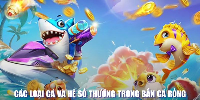 sv339 loi game dot kich ket noi may chu that bai