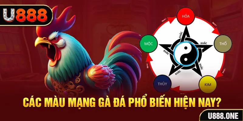 đăng nhập mậu binh