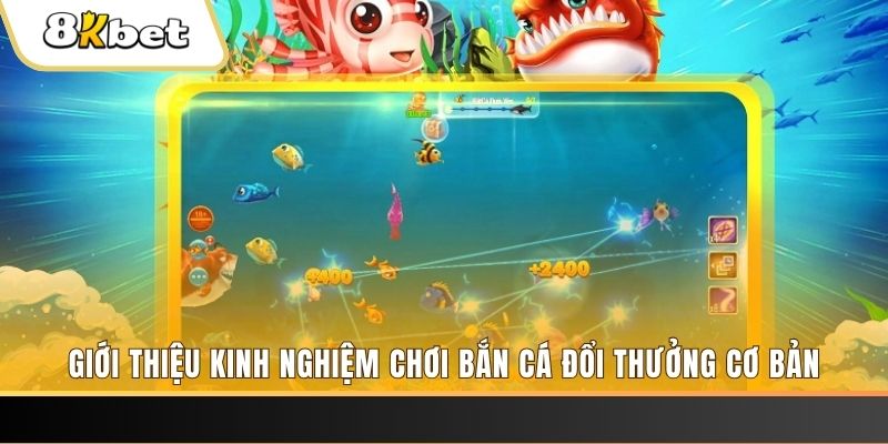 sv339 xổ số miền bắc thứ năm hàng tuần