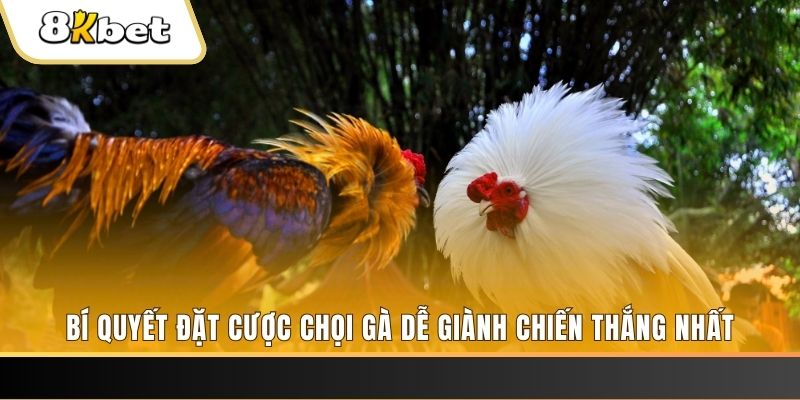 sv339 Tài Xỉu 2