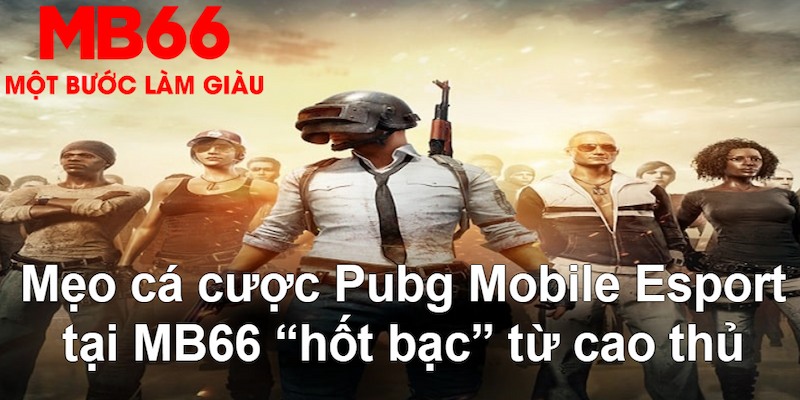 sv339 gà chọi mộc hóa