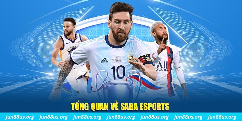 sv339 gà chọi c1 tv trực tiếp hôm nay